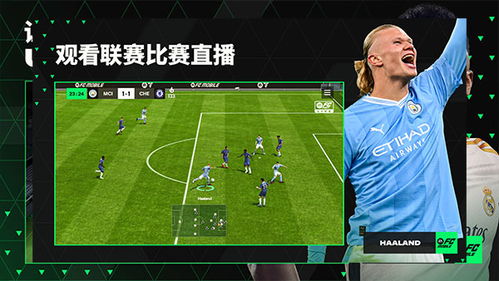 (fifa足球世界国际服官网)FIFA足球世界国际服：探索全球足球文化，感受世界杯狂热